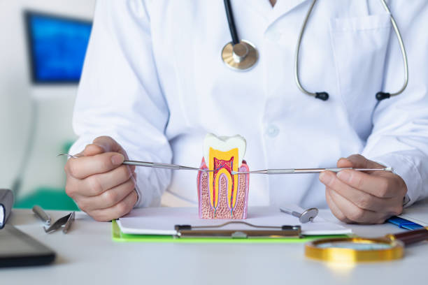Best Dentist for Tooth Abscess  in Minerva, OH